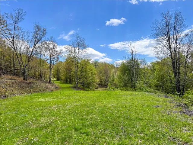 $670,000 | 0 State Route 28, Andes, NY 13731