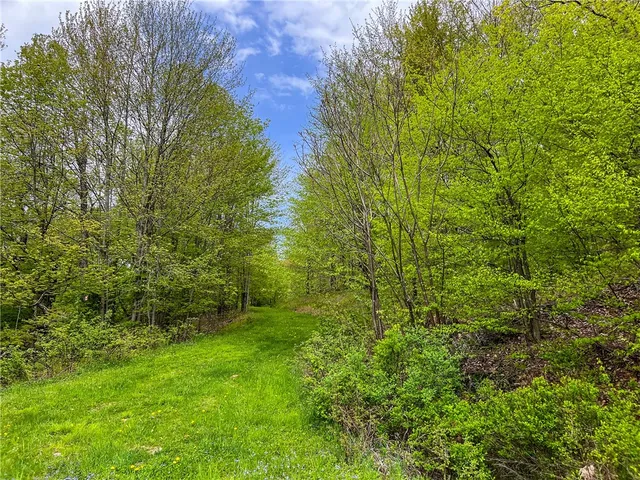 $670,000 | 0 State Route 28, Andes, NY 13731