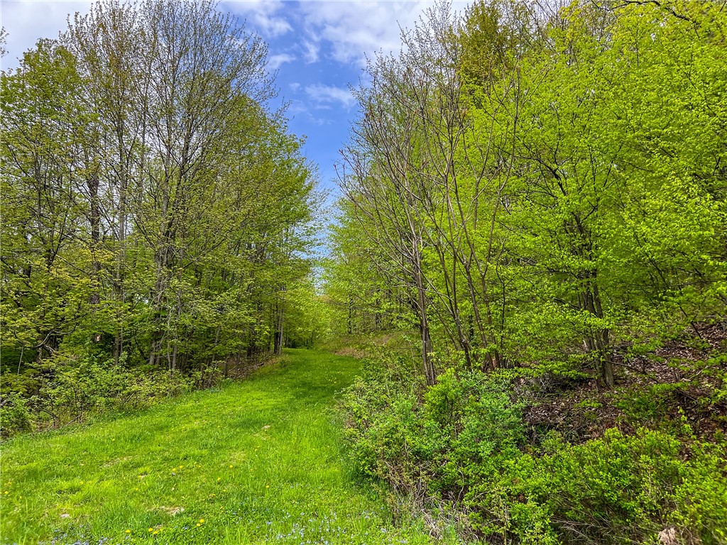 0 State Route 28 Andes, NY 13731 - Photo 26 of 50