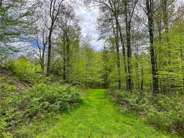 $670,000 | 0 State Route 28, Andes, NY 13731