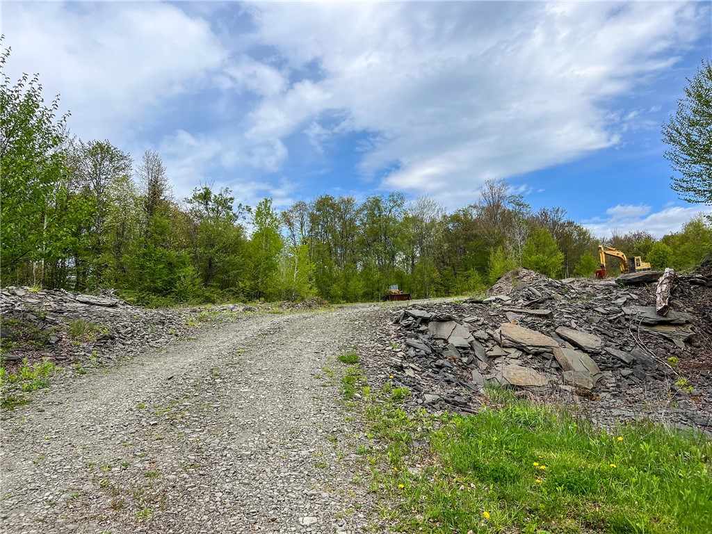 0 State Route 28 Andes, NY 13731 - Photo 29 of 50