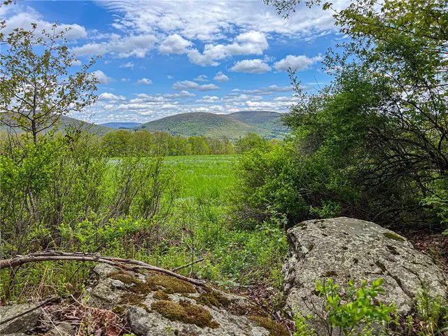 $670,000 | 0 State Route 28, Andes, NY 13731