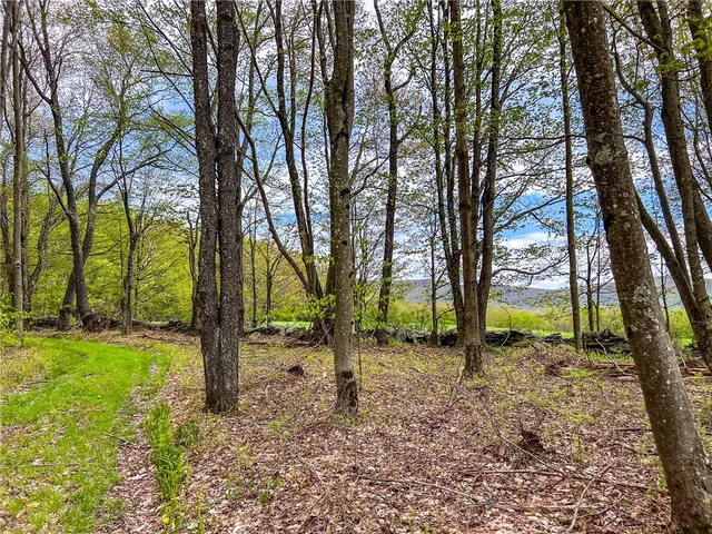 $670,000 | 0 State Route 28, Andes, NY 13731