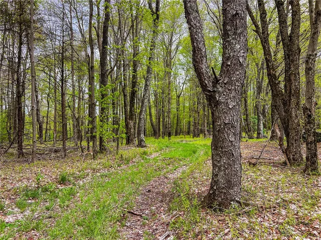 $670,000 | 0 State Route 28, Andes, NY 13731