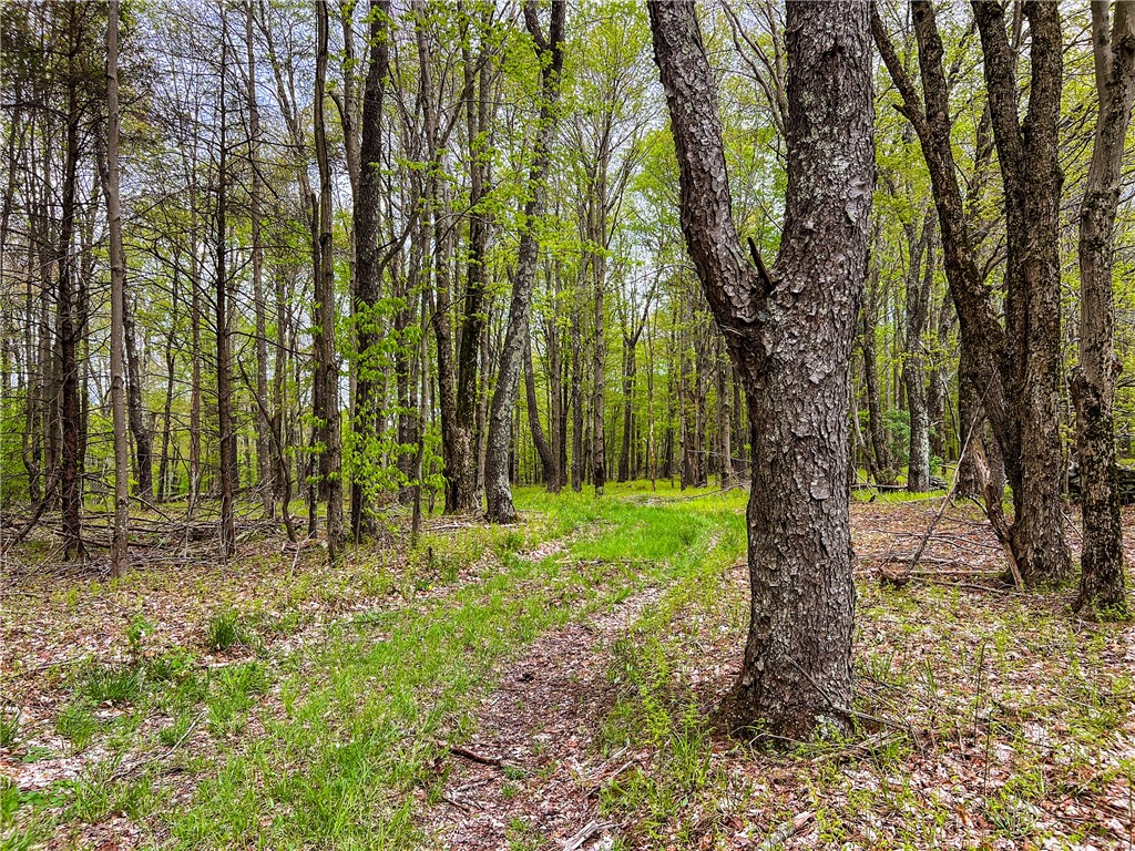 0 State Route 28 Andes, NY 13731 - Photo 39 of 50