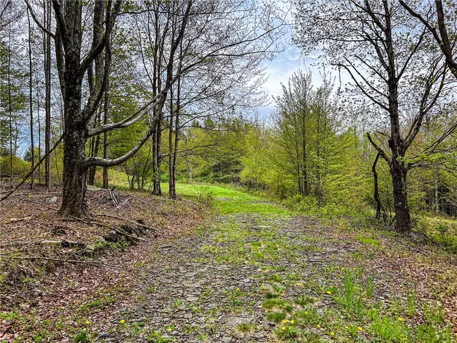 $670,000 | 0 State Route 28, Andes, NY 13731