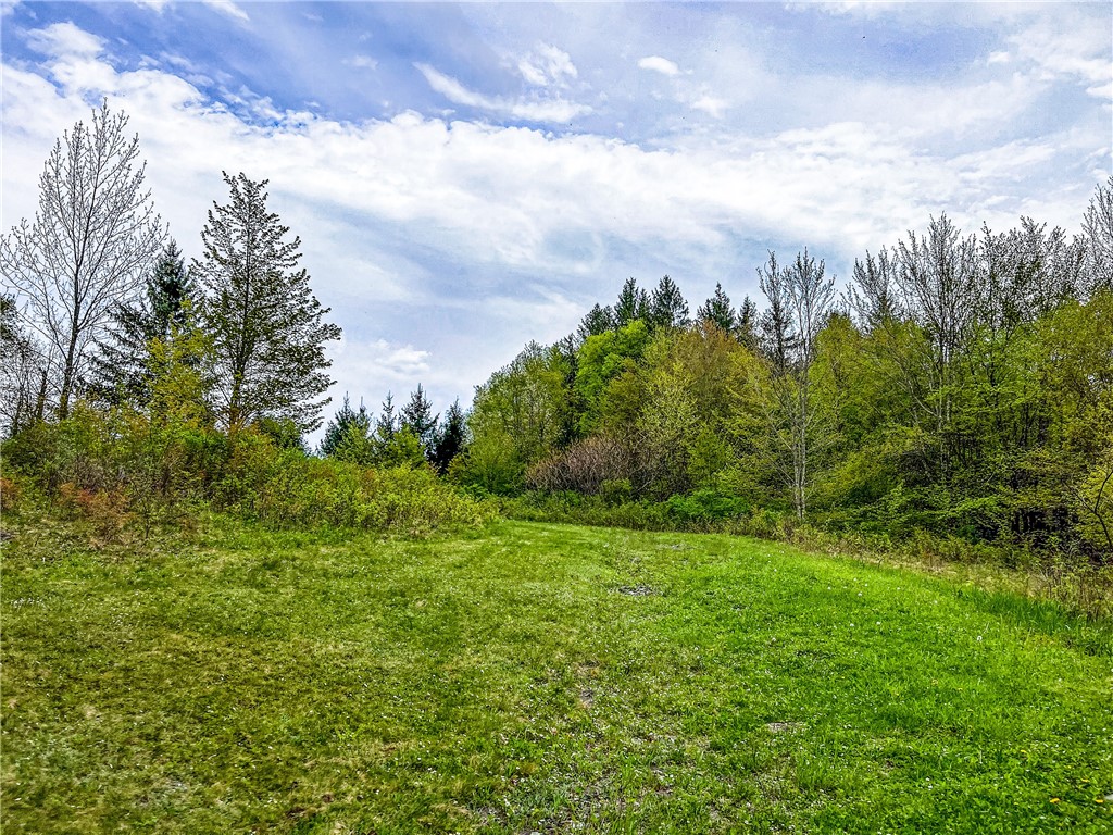 0 State Route 28 Andes, NY 13731 - Photo 42 of 50