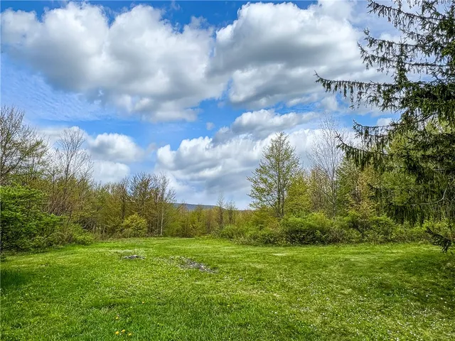 $670,000 | 0 State Route 28, Andes, NY 13731
