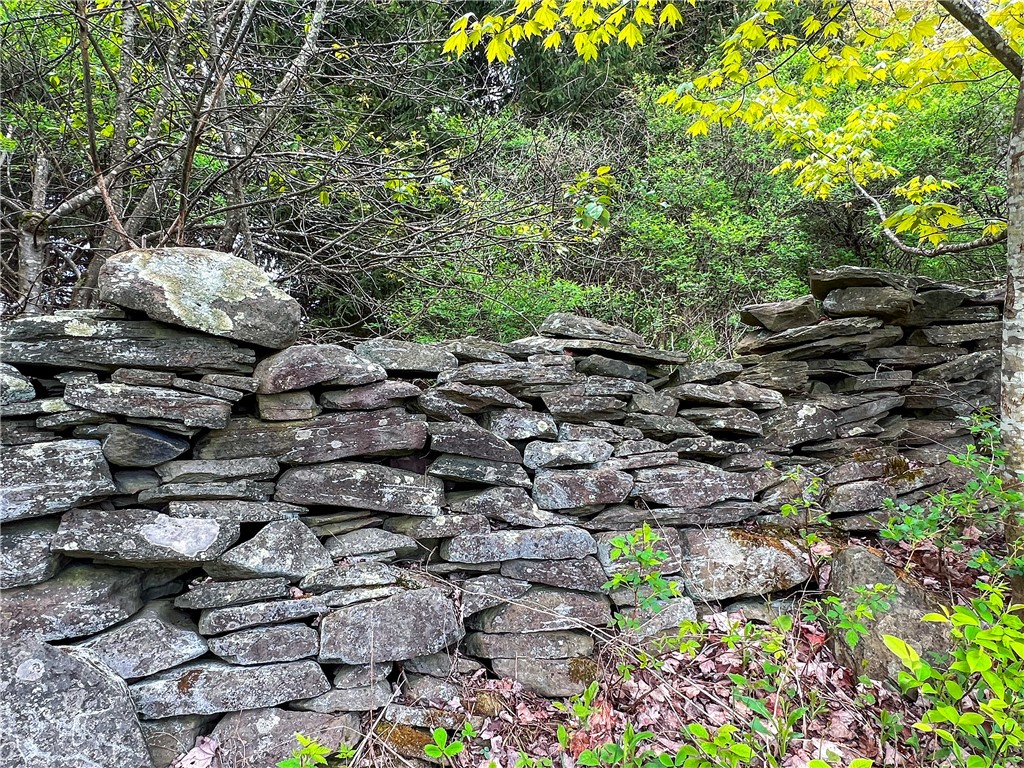 0 State Route 28 Andes, NY 13731 - Photo 45 of 50