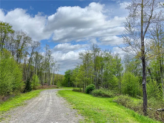 $670,000 | 0 State Route 28, Andes, NY 13731