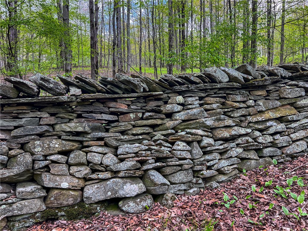 0 State Route 28 Andes, NY 13731 - Photo 49 of 50