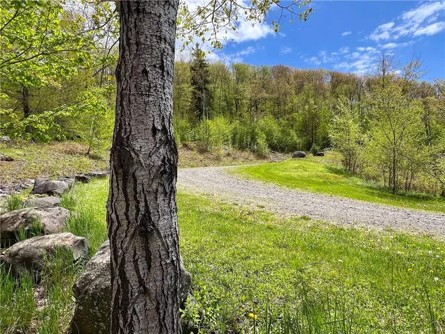 $670,000 | 0 State Route 28, Andes, NY 13731