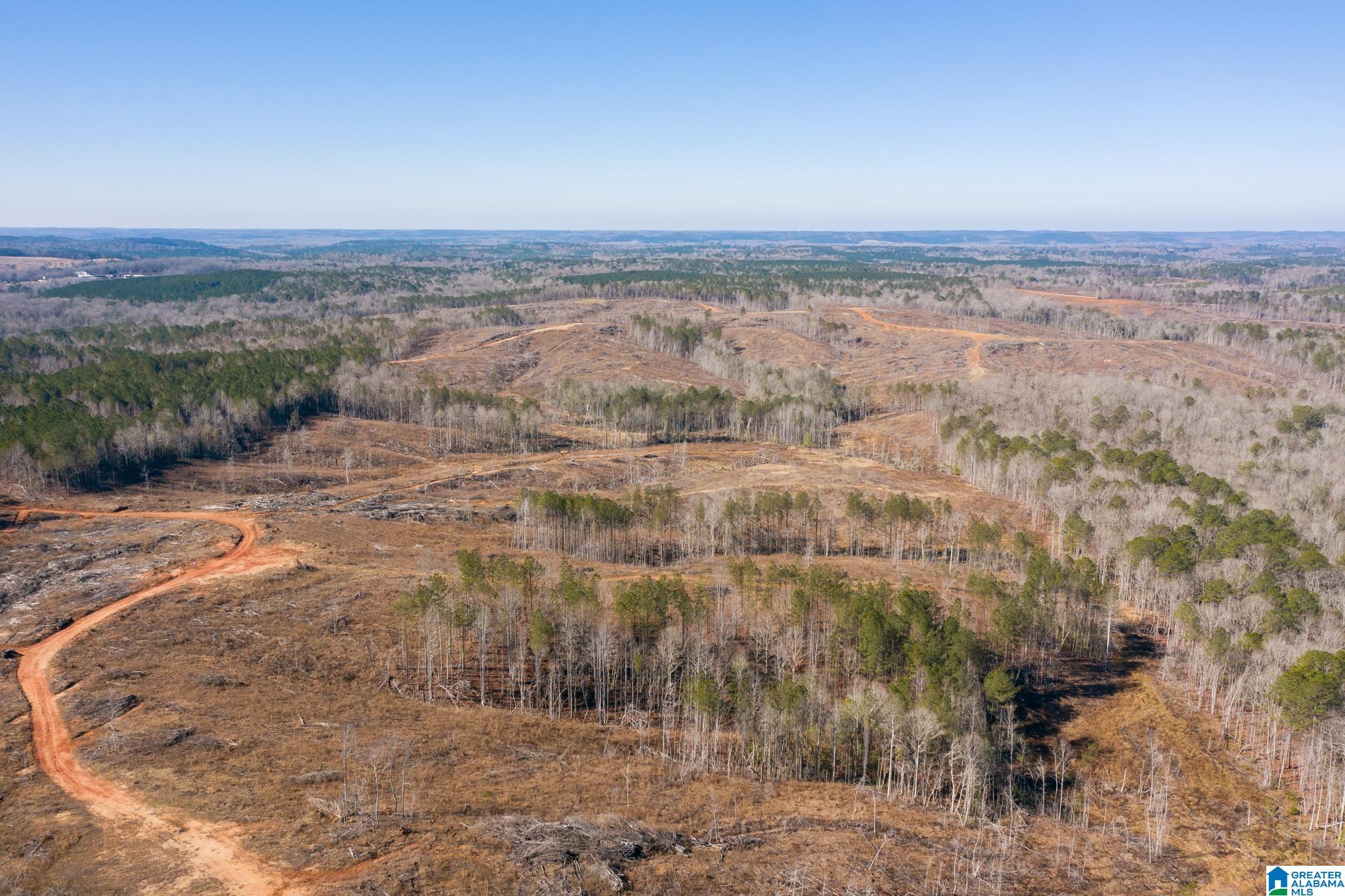 0 Harless Road Northport, AL 35475 - Photo 32 of 34