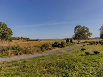 a view of a field with an ocean