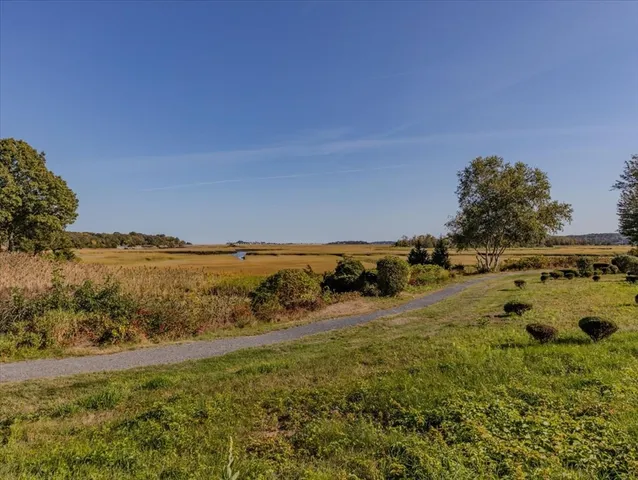 a view of a field with an ocean