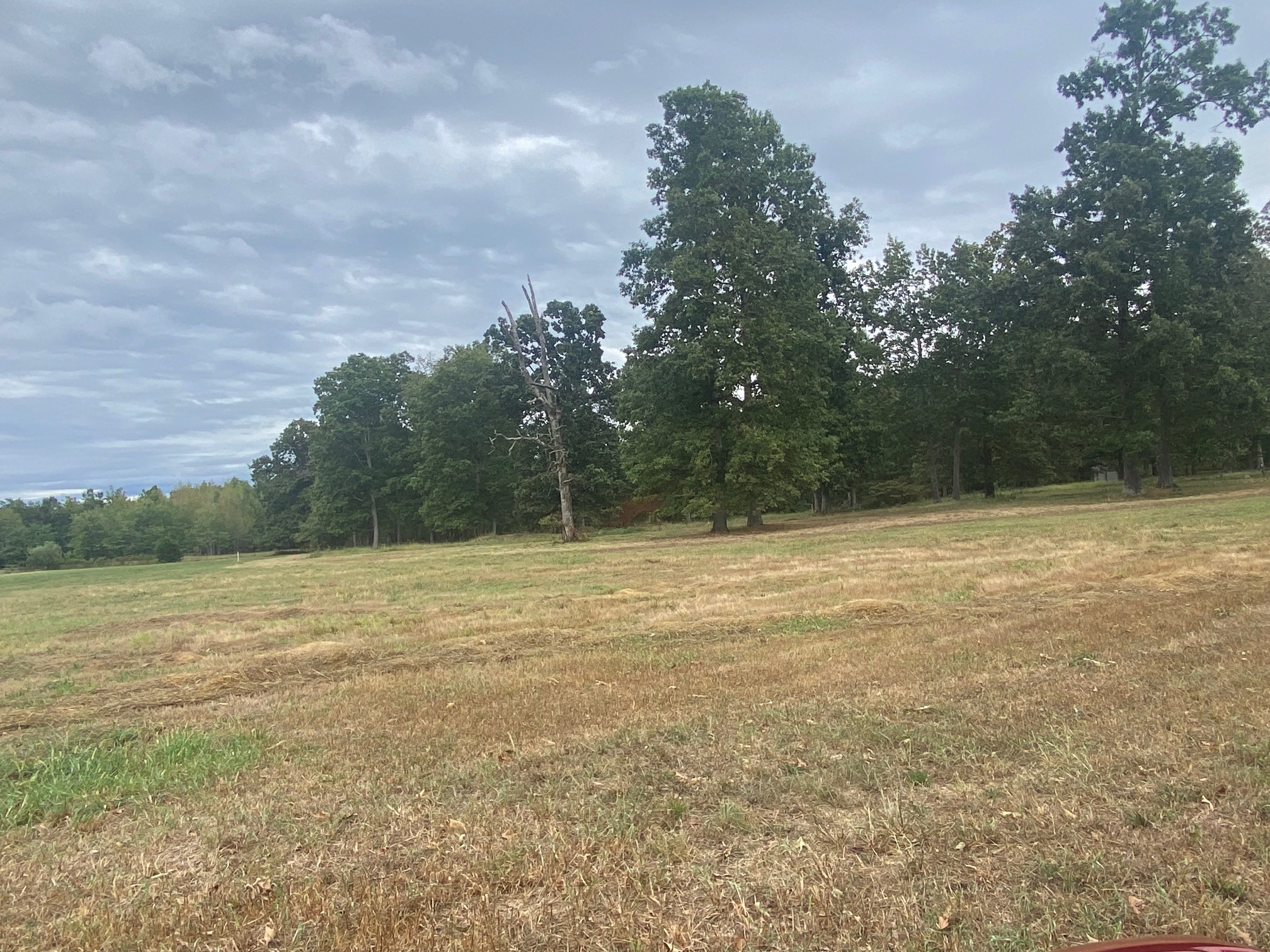 0 Ledford Mill Road Normandy, TN 37360 - Photo 11 of 17