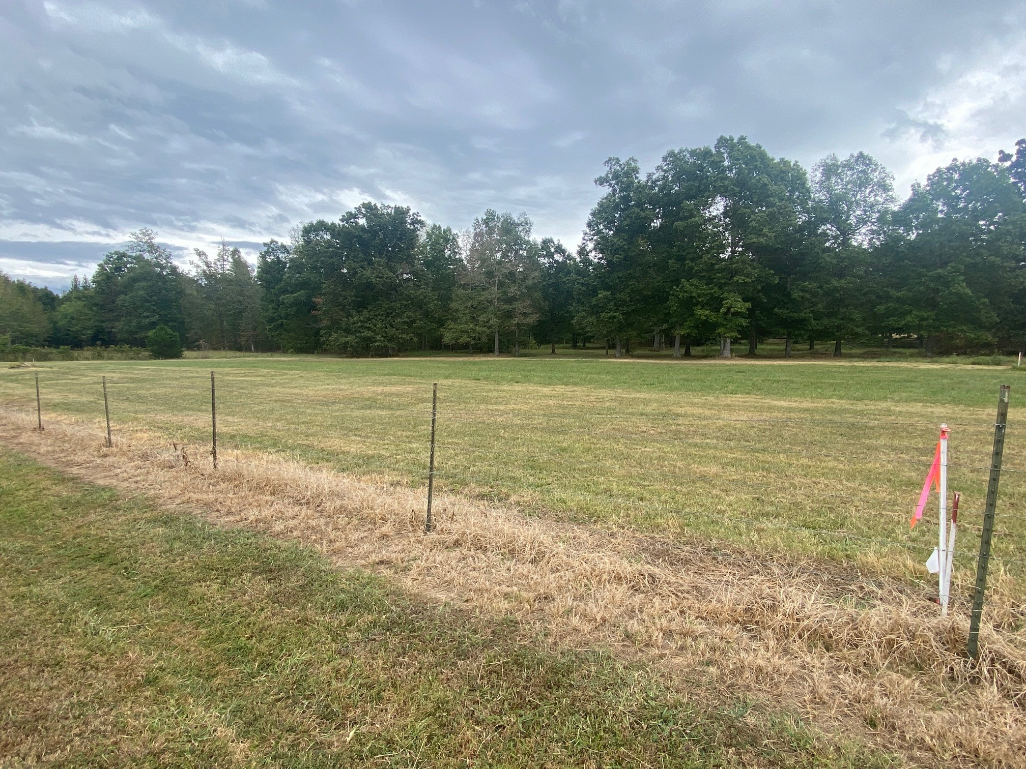 0 Ledford Mill Road Normandy, TN 37360 - Photo 4 of 17