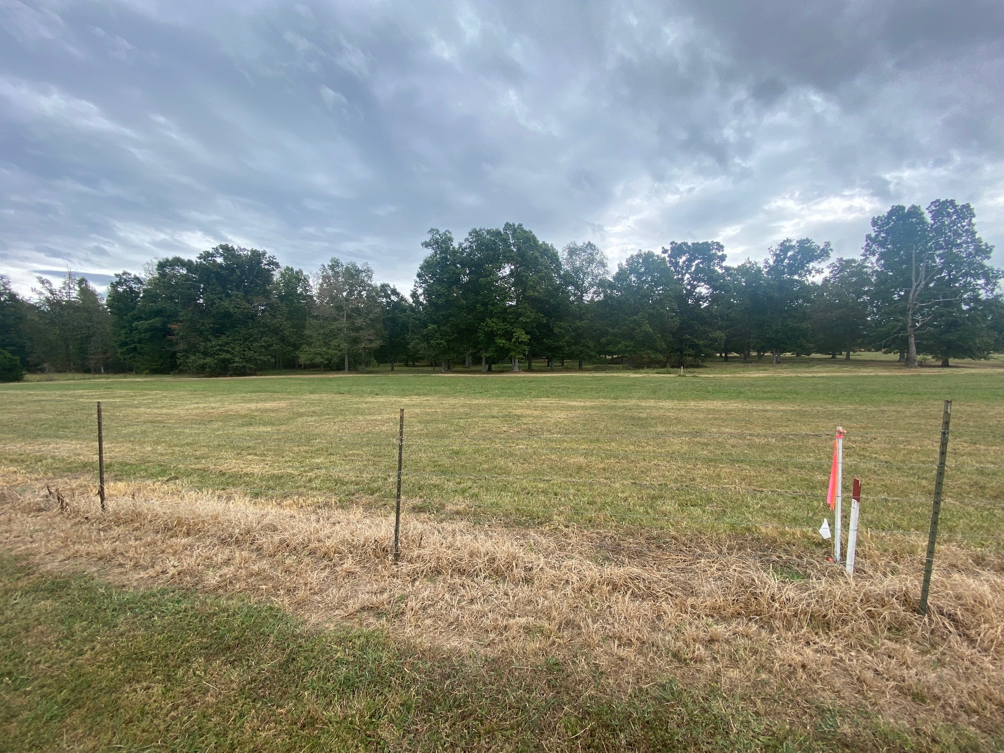 0 Ledford Mill Road Normandy, TN 37360 - Photo 6 of 17