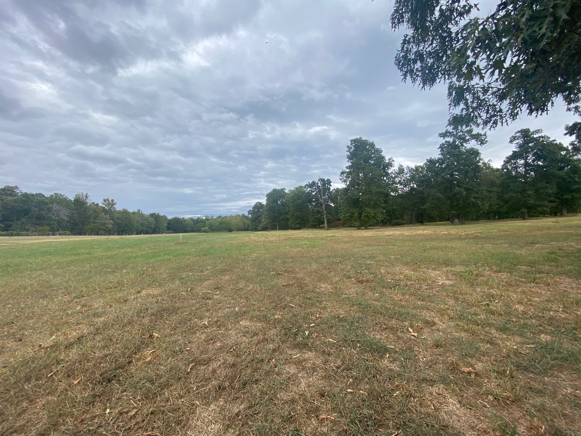 0 Ledford Mill Road Normandy, TN 37360 - Photo 8 of 17