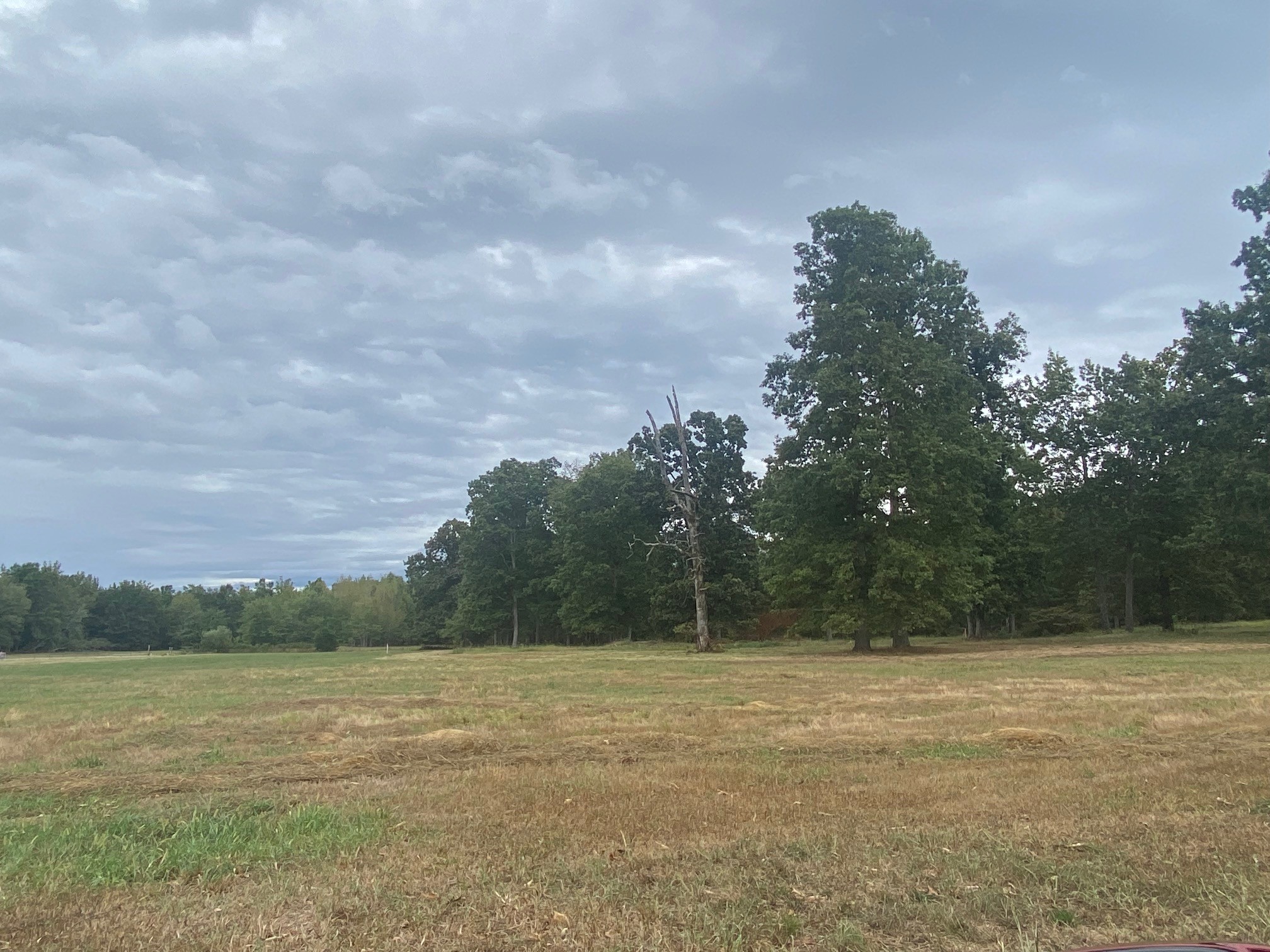 0 Ledford Mill Road Normandy, TN 37360 - Photo 9 of 17