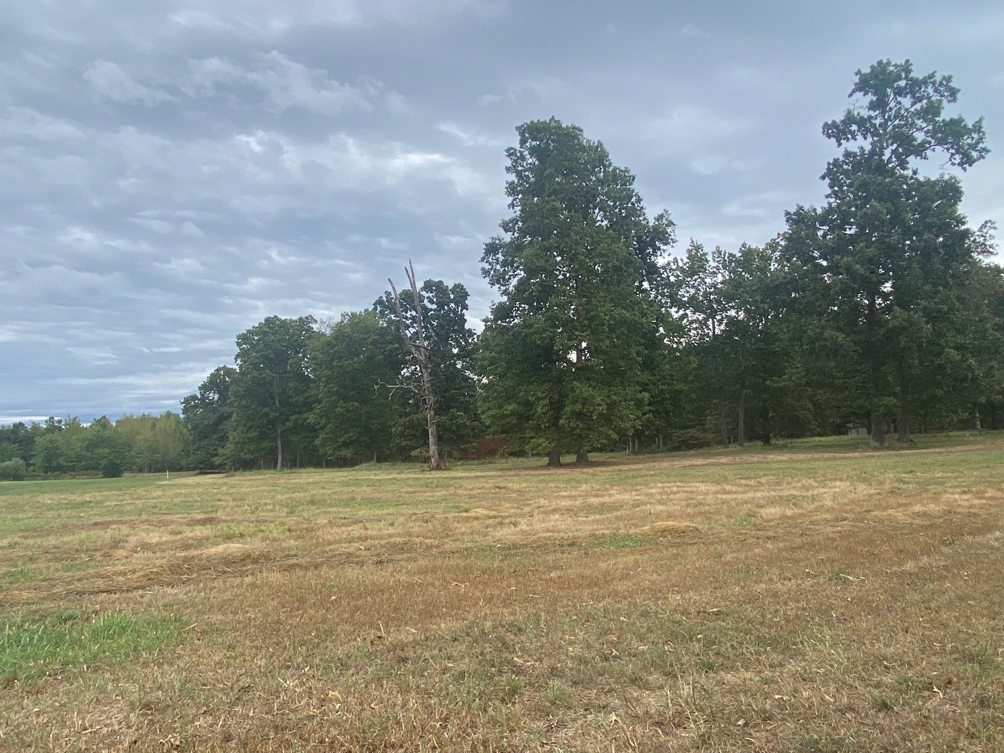 0 Ledford Mill Road Normandy, TN 37360 - Photo 10 of 17