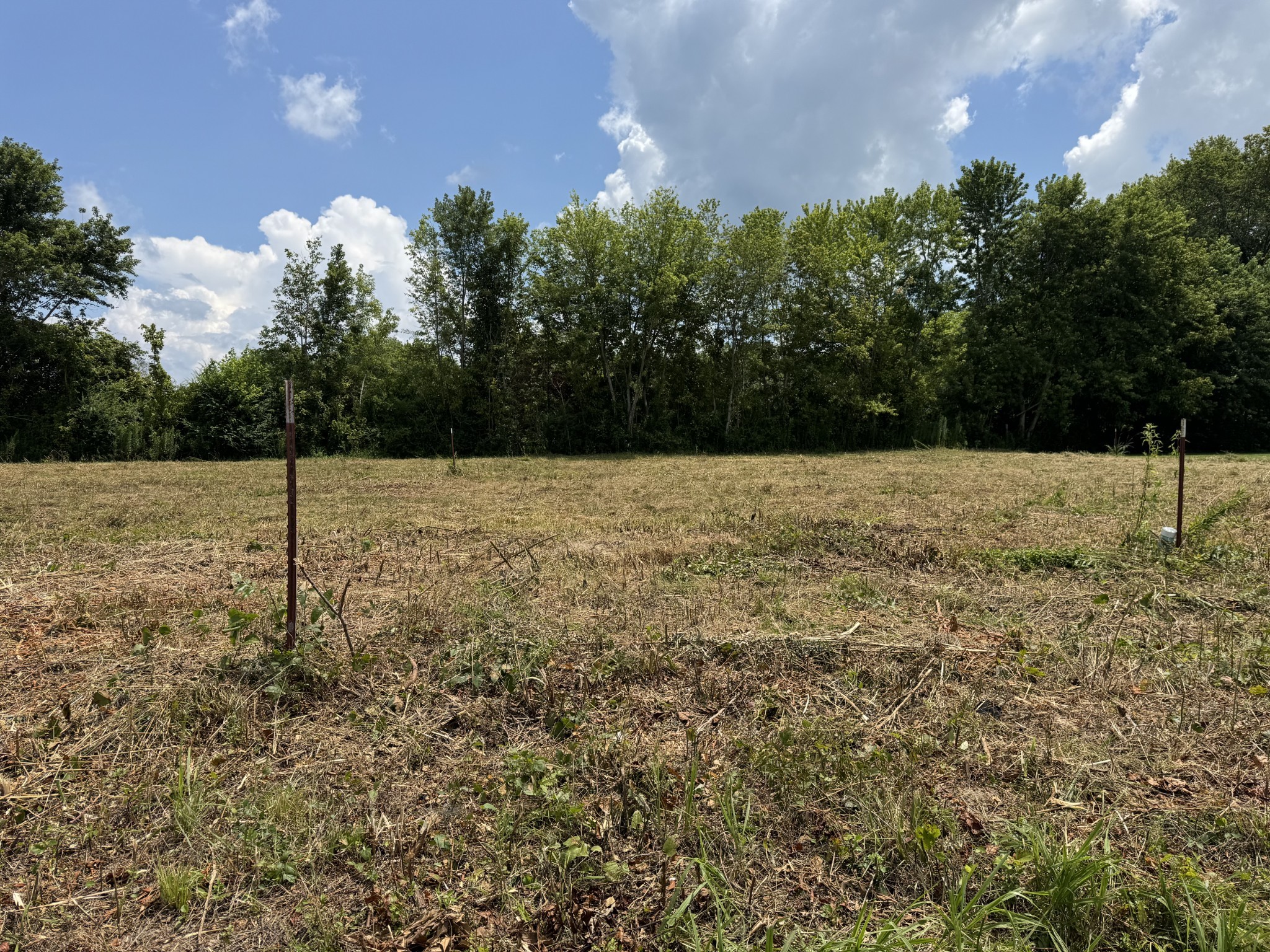 0 Shaw Street Smithville, TN 37166 - Photo 1 of 3 a view of a big yard