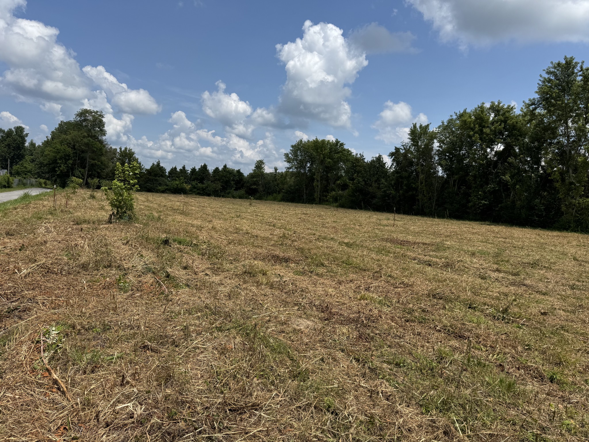 0 Shaw Street Smithville, TN 37166 - Photo 2 of 3 a view of a terrace