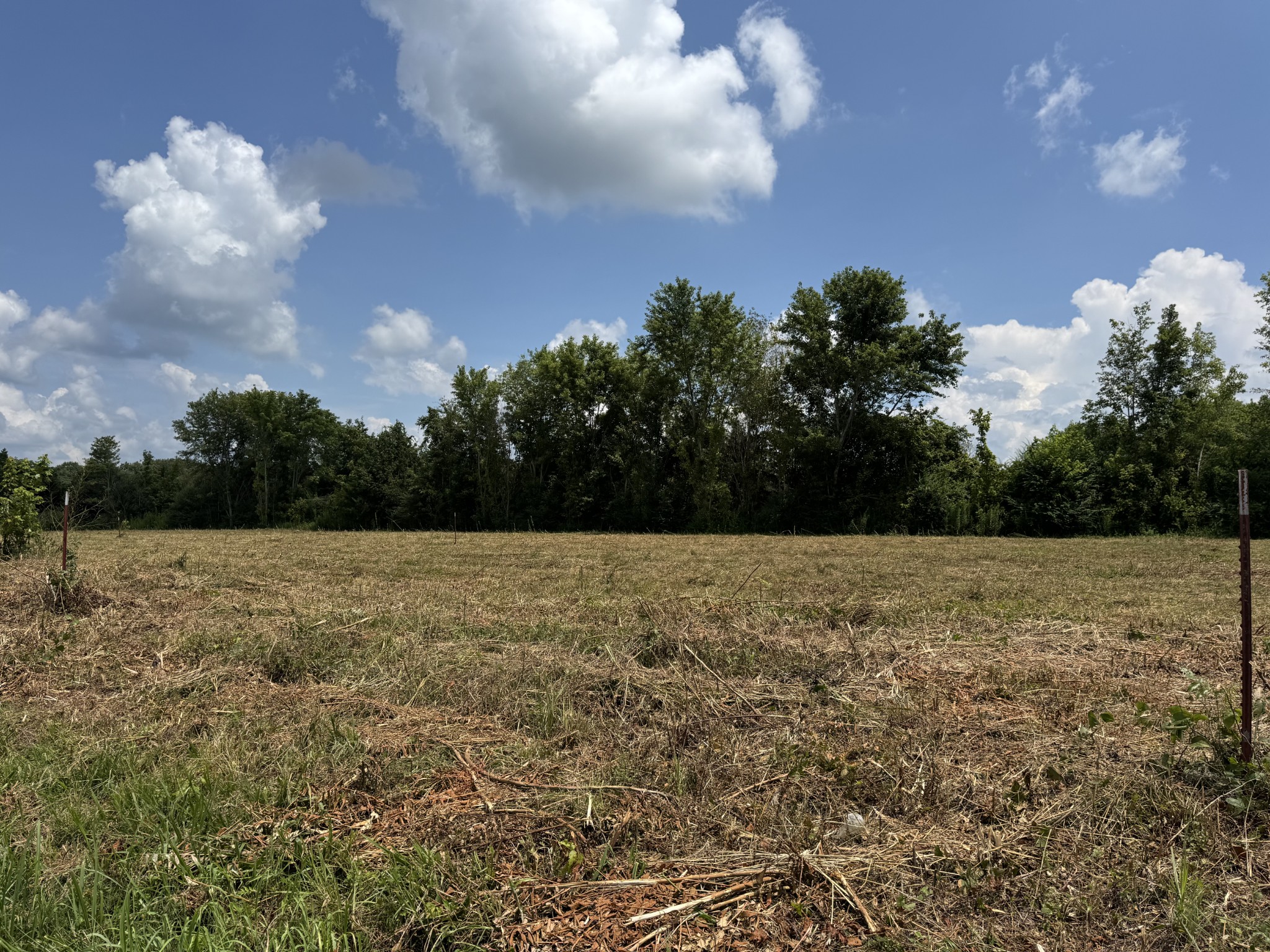 0 Shaw Street Smithville, TN 37166 - Photo 3 of 3 a view of a yard