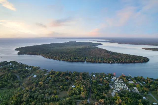 a view of a lake in middle of forest