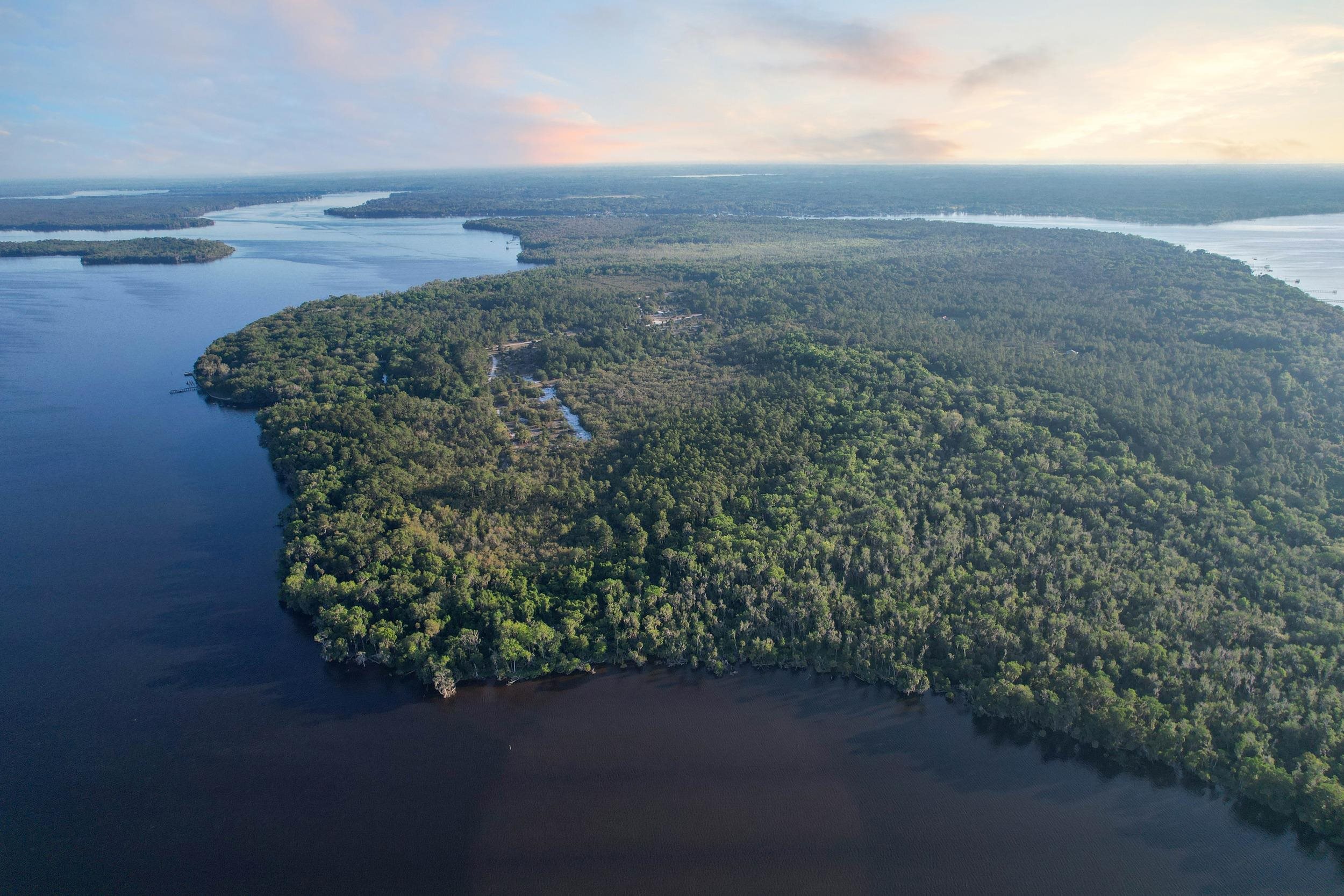 356 Drayton Island Road Georgetown, FL 32139 - Photo 11 of 41 a view of a yard next to a yard