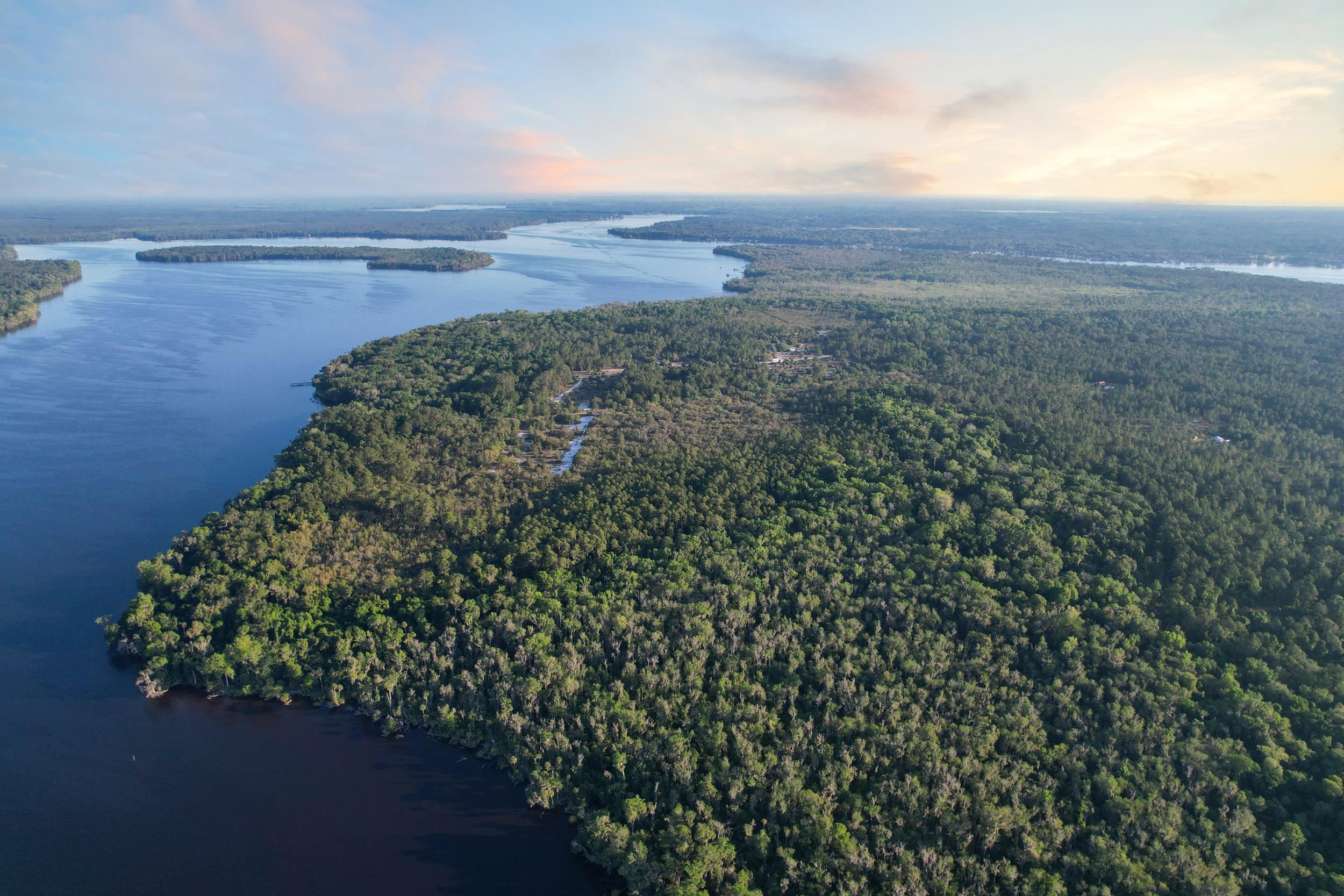 356 Drayton Island Road Georgetown, FL 32139 - Photo 13 of 41 a view of a yard with an outdoor seating