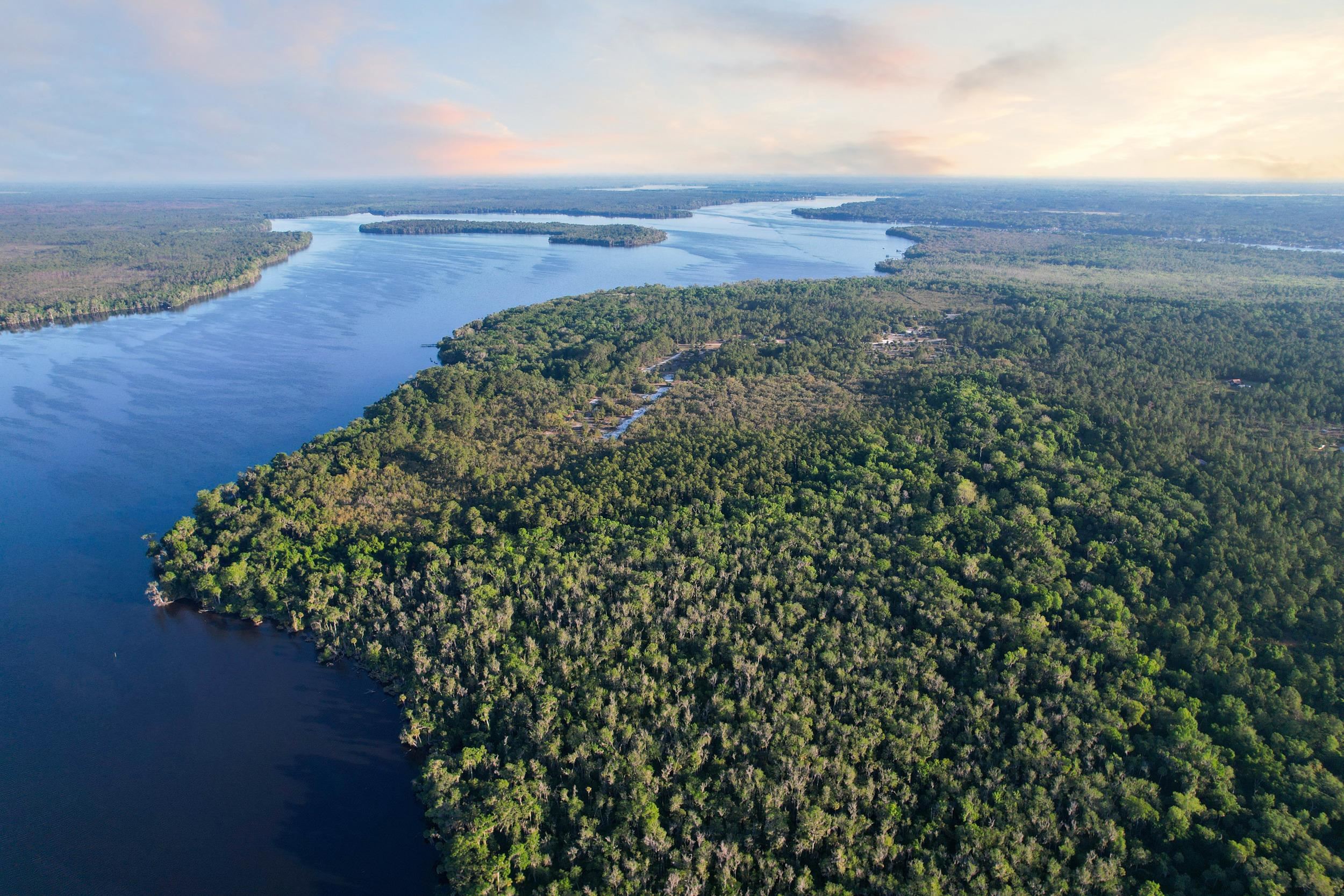 356 Drayton Island Road Georgetown, FL 32139 - Photo 15 of 41 a view of a field with an ocean