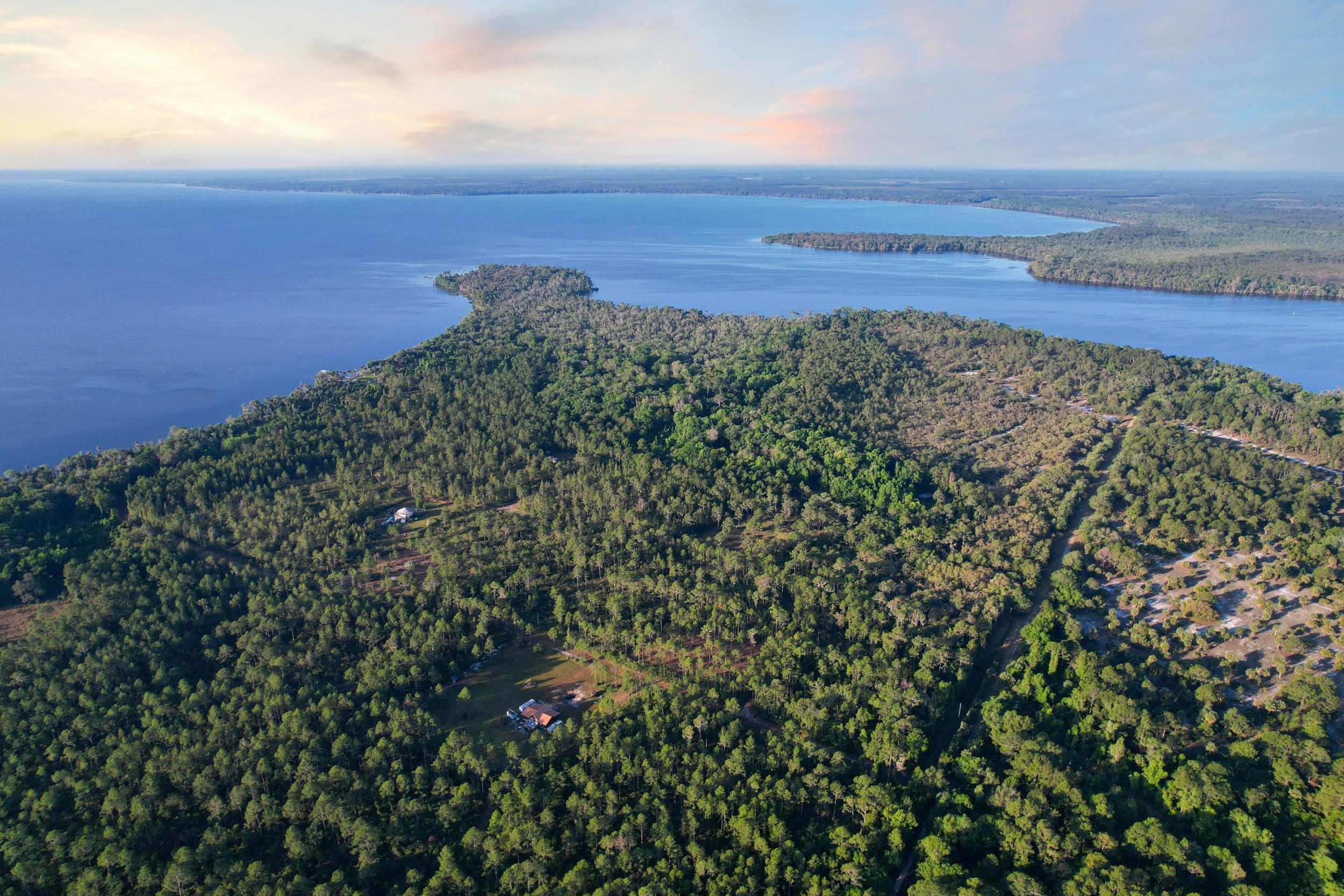 356 Drayton Island Road Georgetown, FL 32139 - Photo 18 of 41 a view of a large body of water and lots of trees
