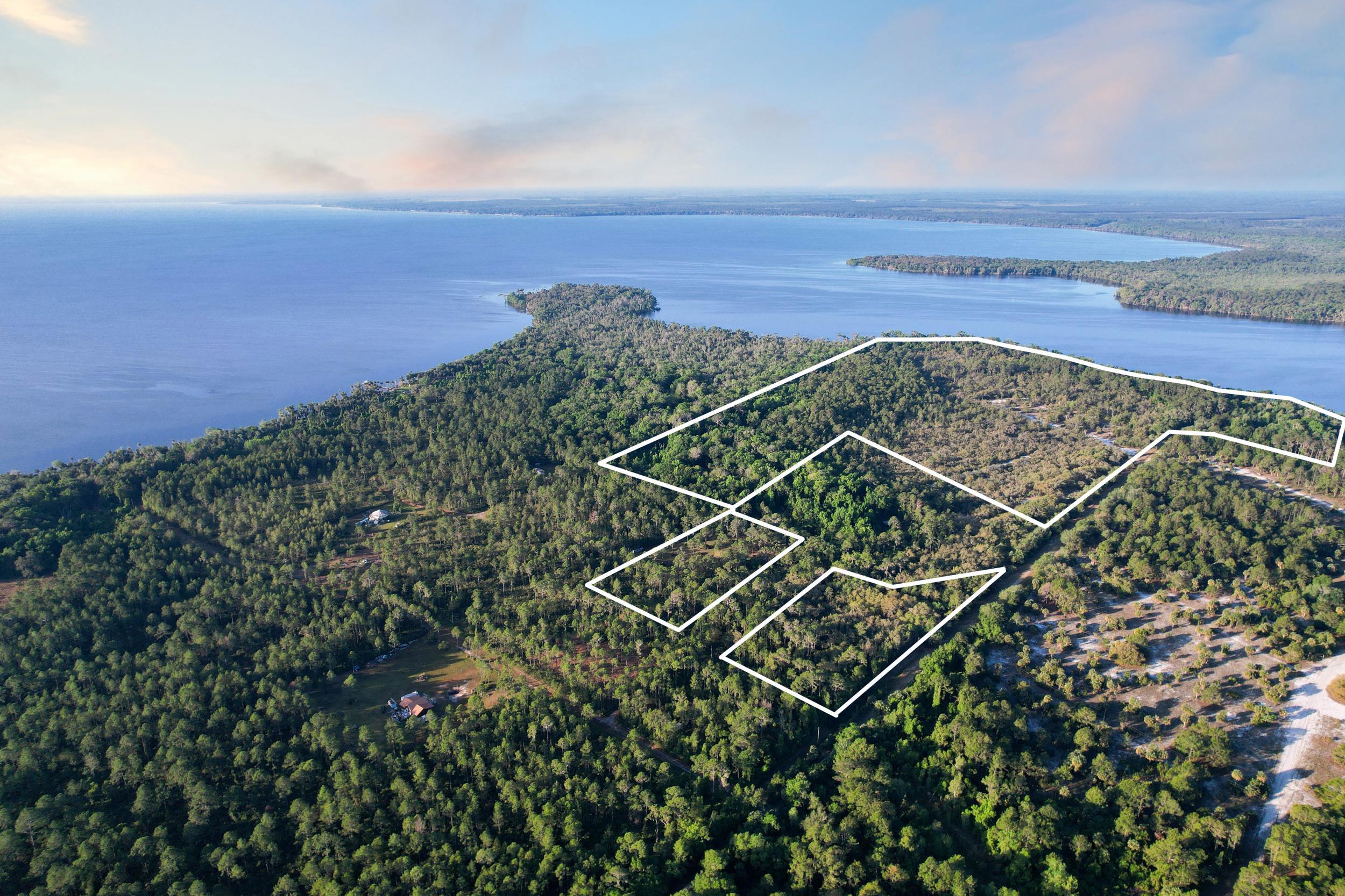 356 Drayton Island Road Georgetown, FL 32139 - Photo 19 of 41