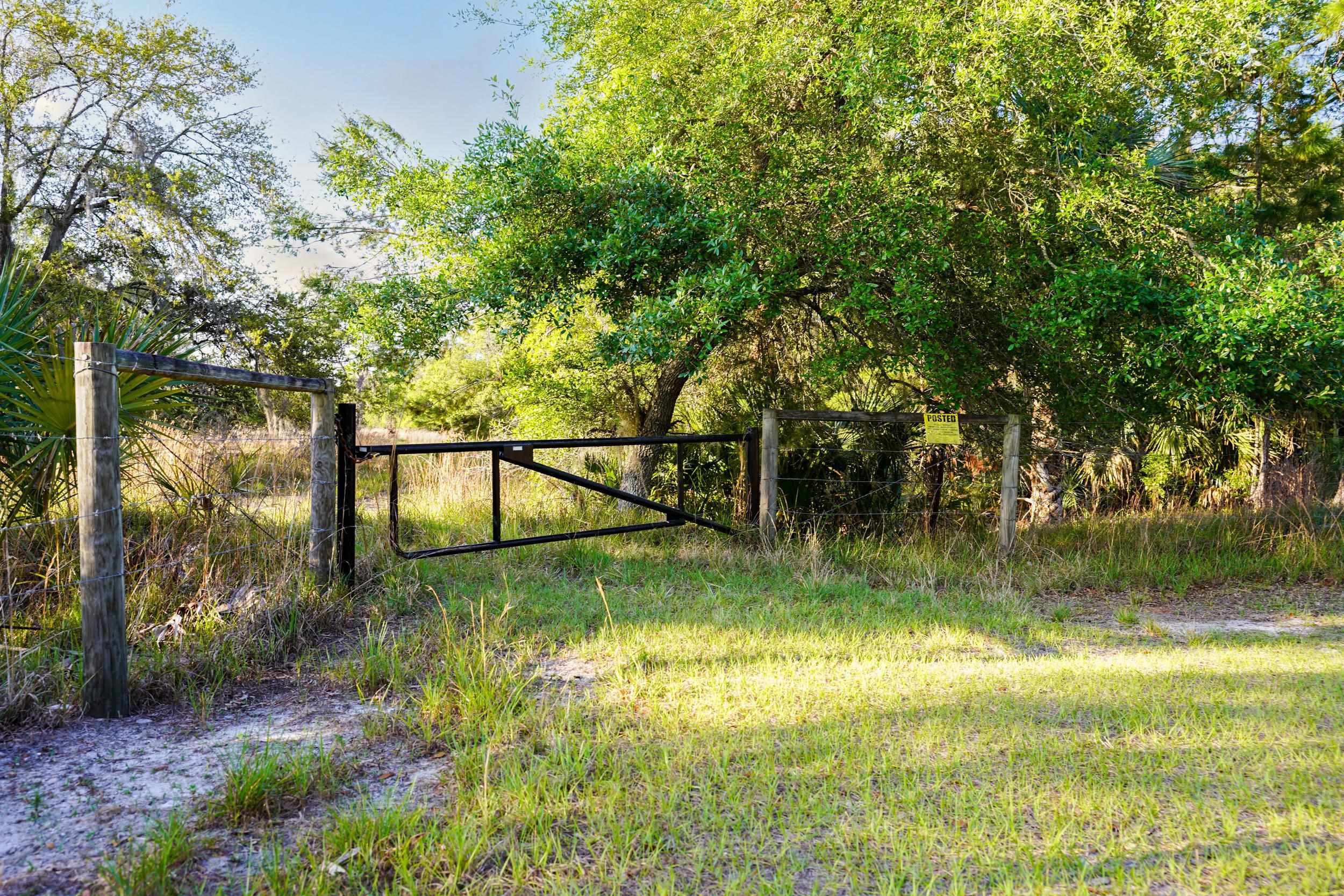 356 Drayton Island Road Georgetown, FL 32139 - Photo 26 of 41 a view of swimming pool with a garden