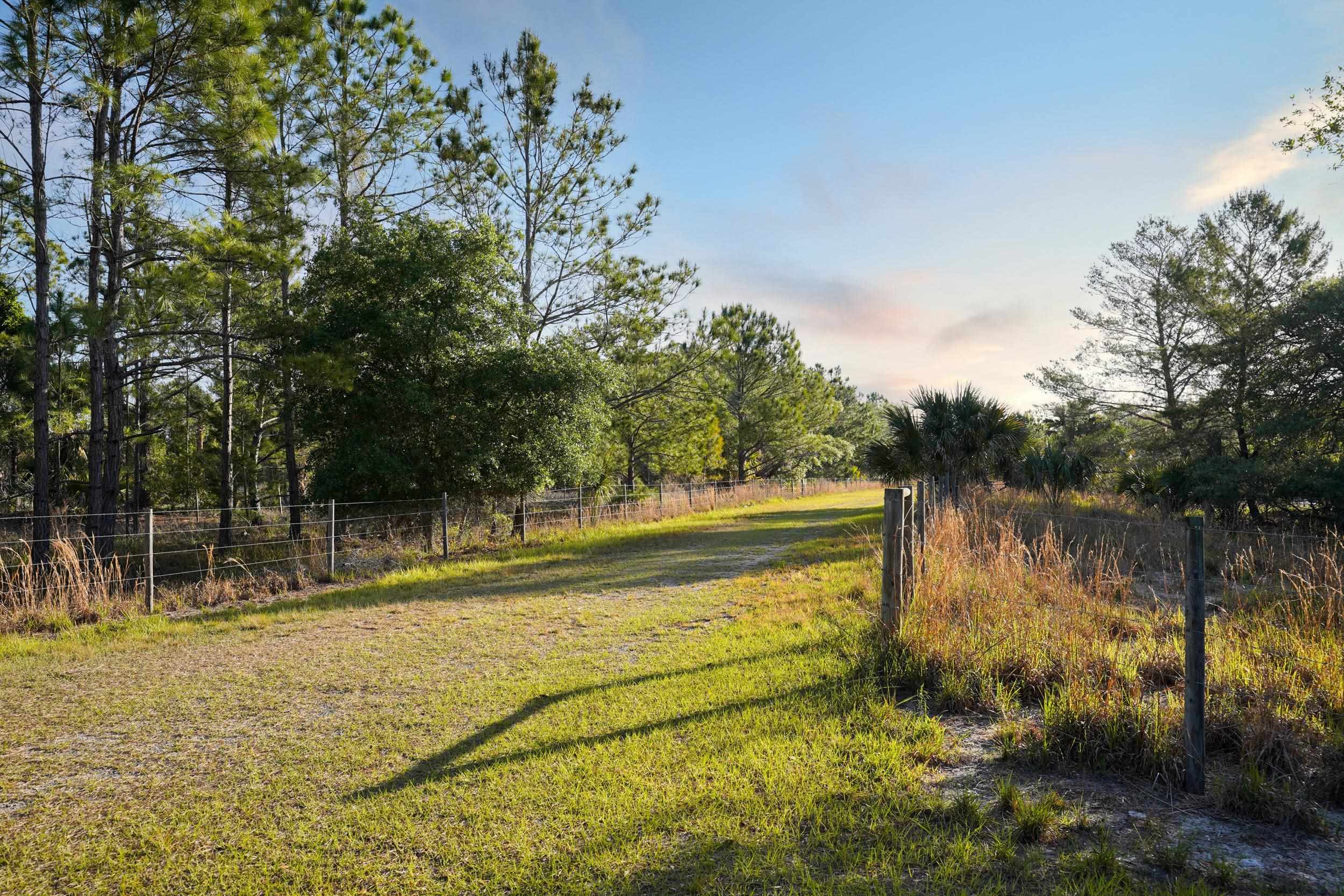 356 Drayton Island Road Georgetown, FL 32139 - Photo 27 of 41 a view of lake
