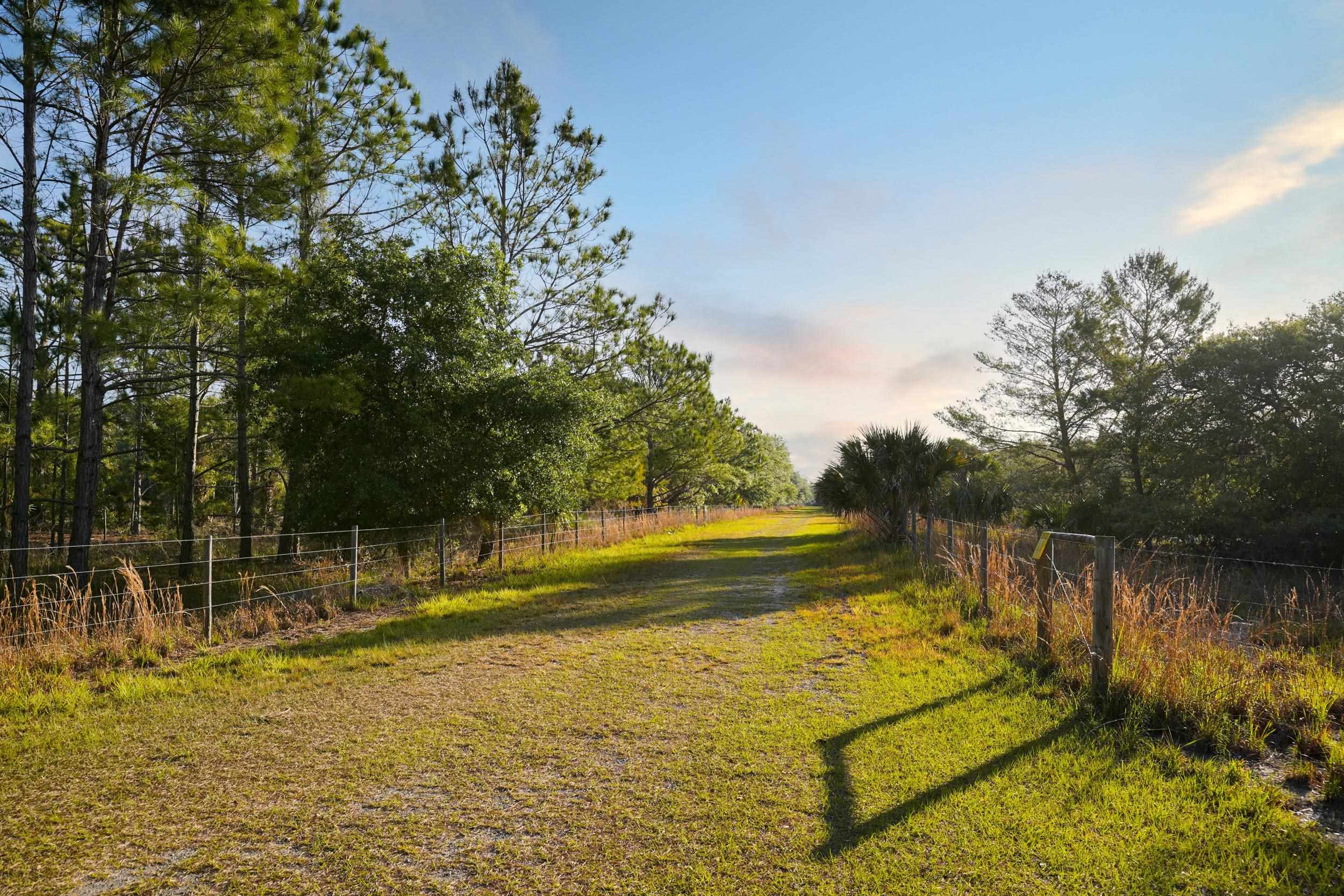 356 Drayton Island Road Georgetown, FL 32139 - Photo 28 of 41 a view of a lake with a yard and large trees