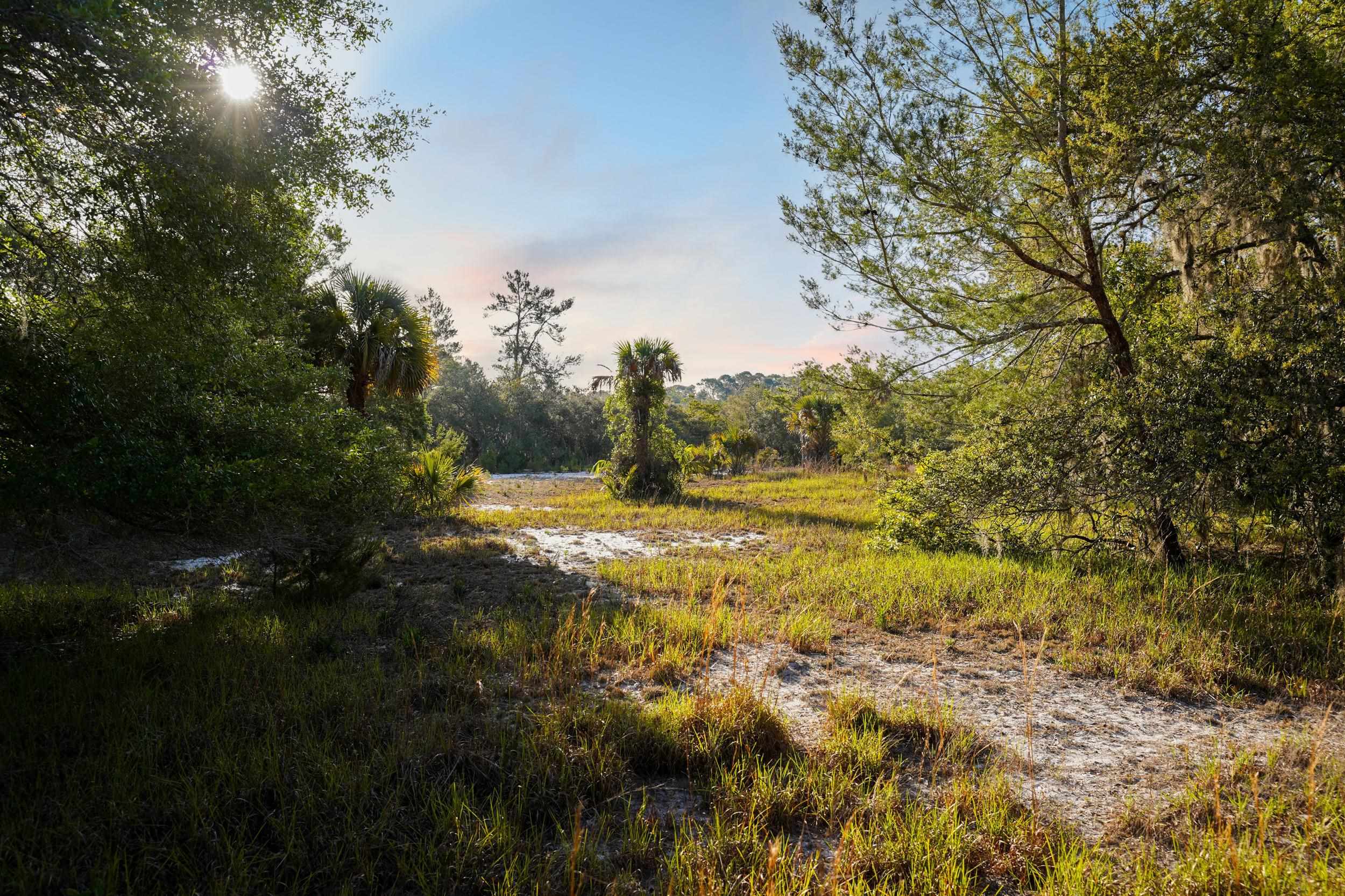356 Drayton Island Road Georgetown, FL 32139 - Photo 29 of 41 a view of lake view