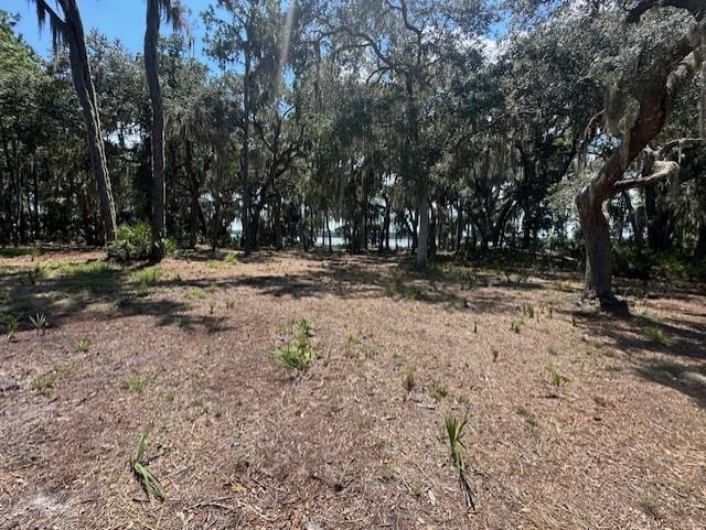 356 Drayton Island Road Georgetown, FL 32139 - Photo 32 of 41 a view of dirt yard with a trees