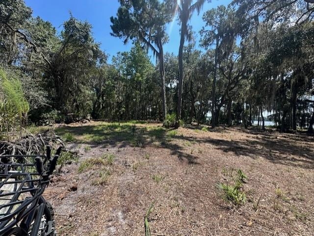356 Drayton Island Road Georgetown, FL 32139 - Photo 33 of 41 a view of outdoor space with trees