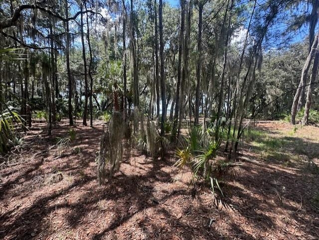 356 Drayton Island Road Georgetown, FL 32139 - Photo 35 of 41 a view of outdoor space with trees