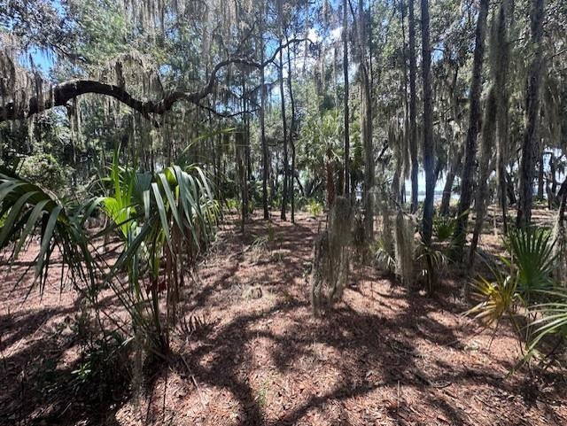 356 Drayton Island Road Georgetown, FL 32139 - Photo 36 of 41 a view of outdoor space and trees