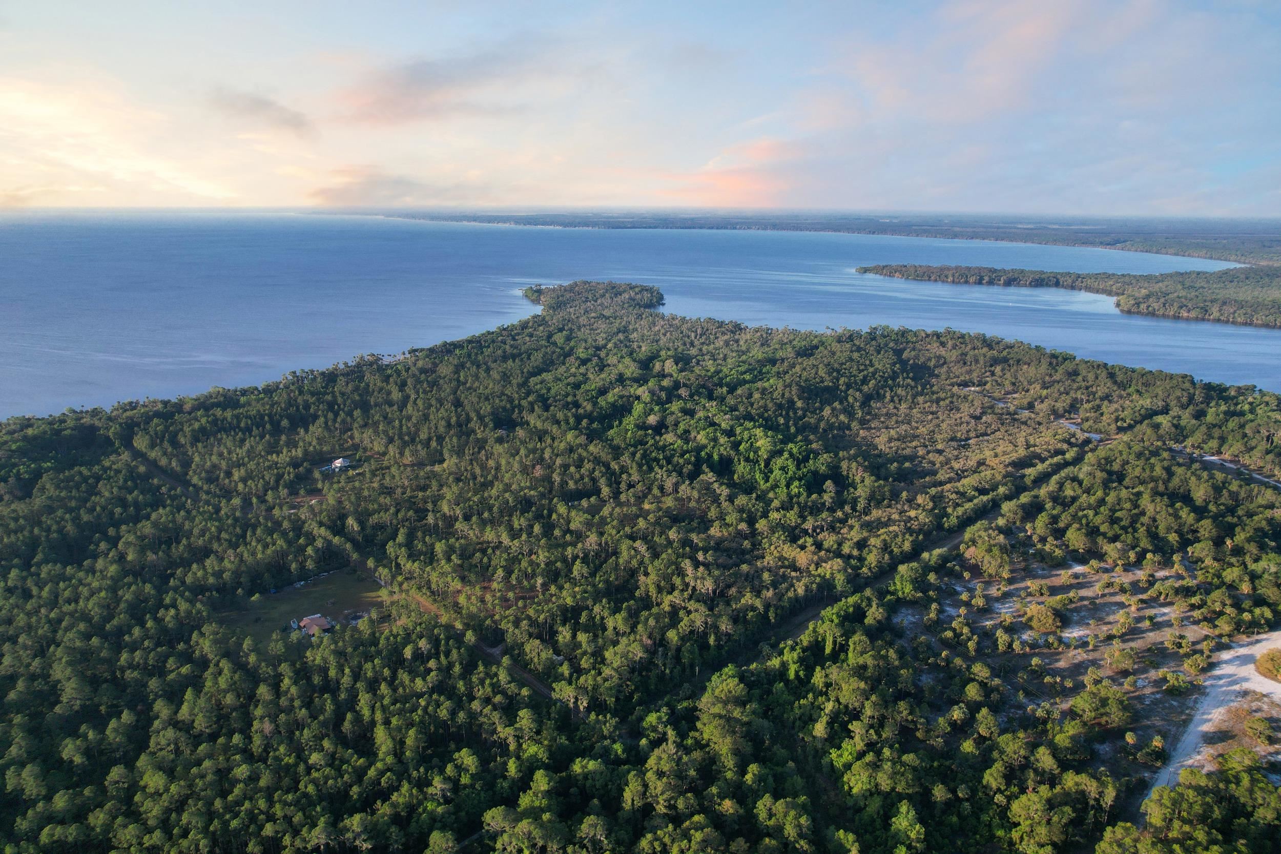 356 Drayton Island Road Georgetown, FL 32139 - Photo 5 of 41 an aerial view of a house
