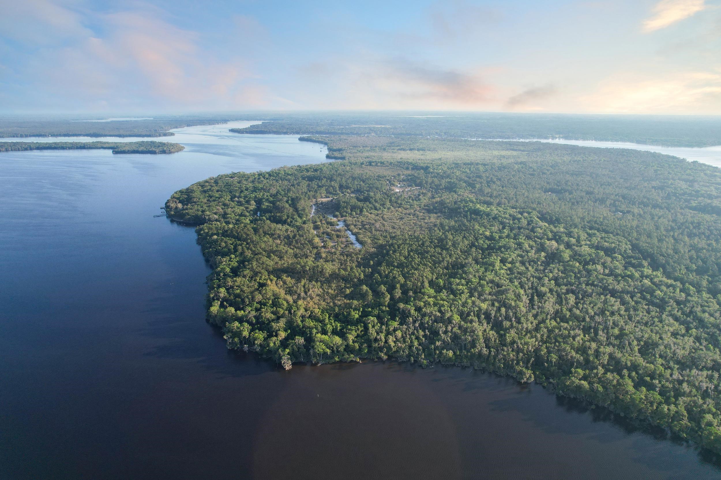 356 Drayton Island Road Georgetown, FL 32139 - Photo 9 of 41 a view of a lake from a yard