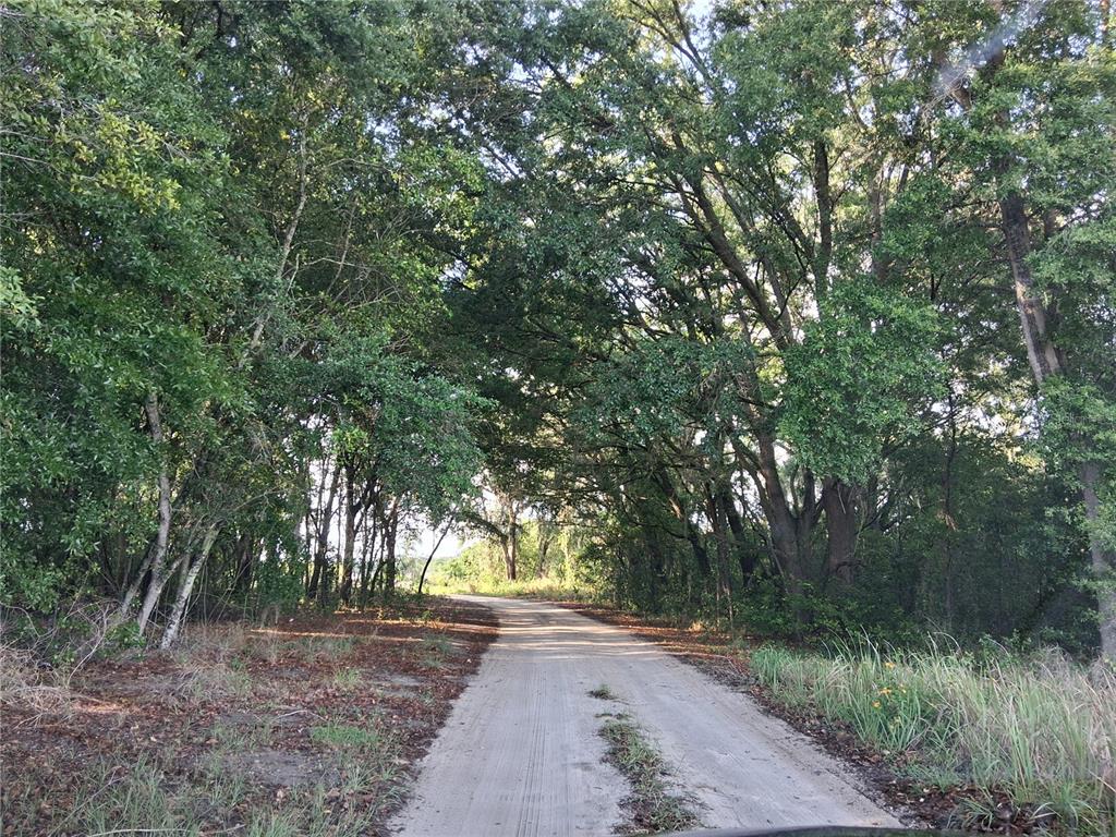 16451 Forrest Lane Mascotte, FL 34753 - Photo 2 of 5