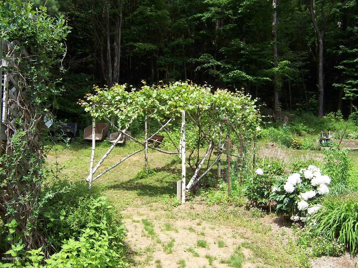 44 Stonehouse Road Washington, MA 01223 - Photo 19 of 56 a view of a yard with plants
