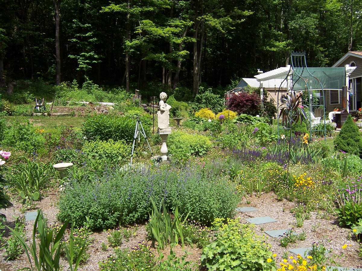 44 Stonehouse Road Washington, MA 01223 - Photo 8 of 56 a backyard of a house with lots of green space and trees all around