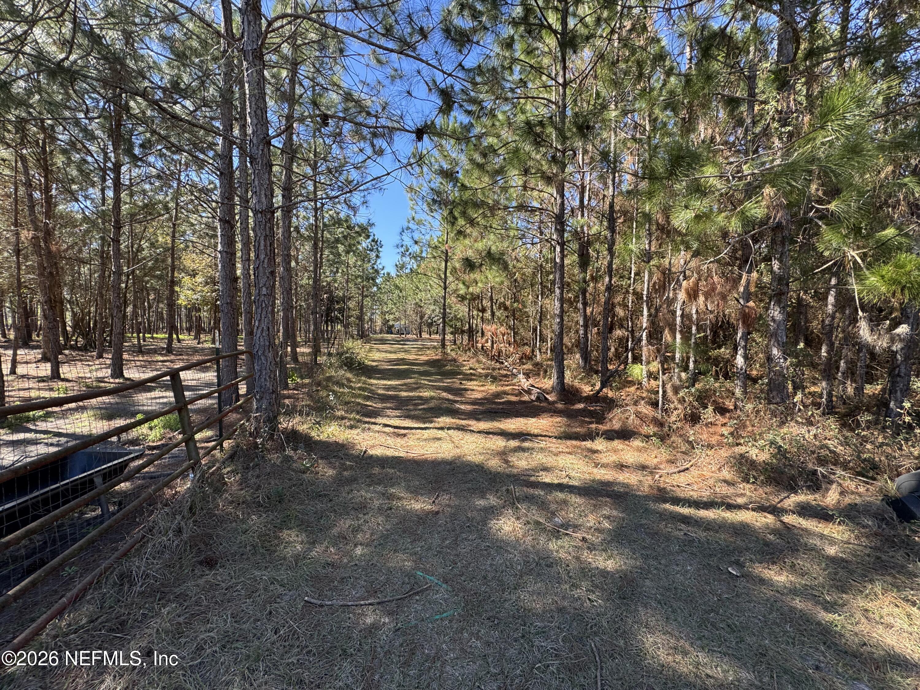 0 Southwest 105th Street Brooker, FL 32622 - Photo 11 of 40 a view of outdoor space with wooden deck and trees