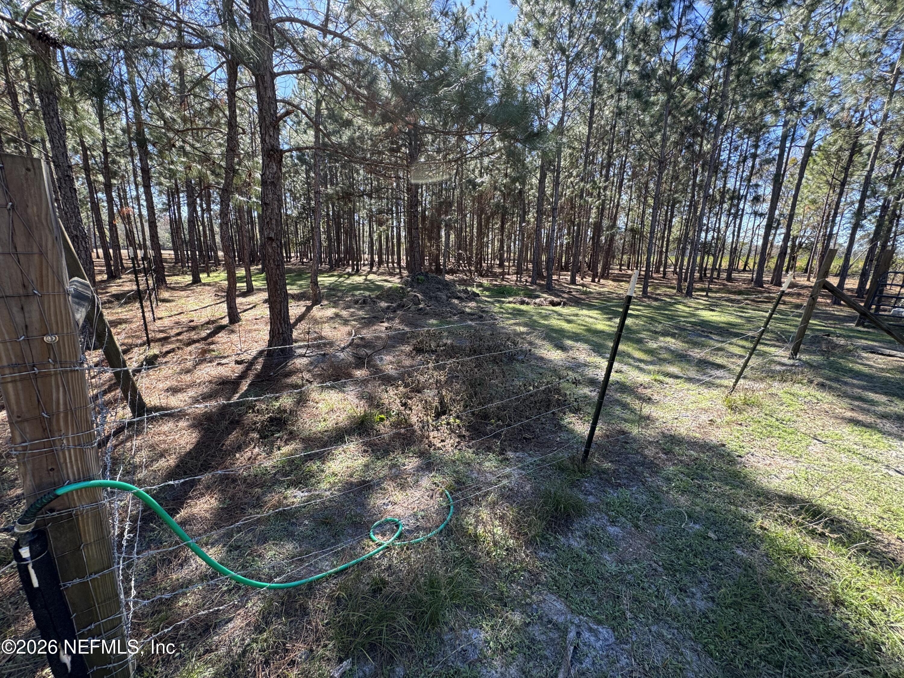 0 Southwest 105th Street Brooker, FL 32622 - Photo 12 of 40 a backyard of a house with lots of green space