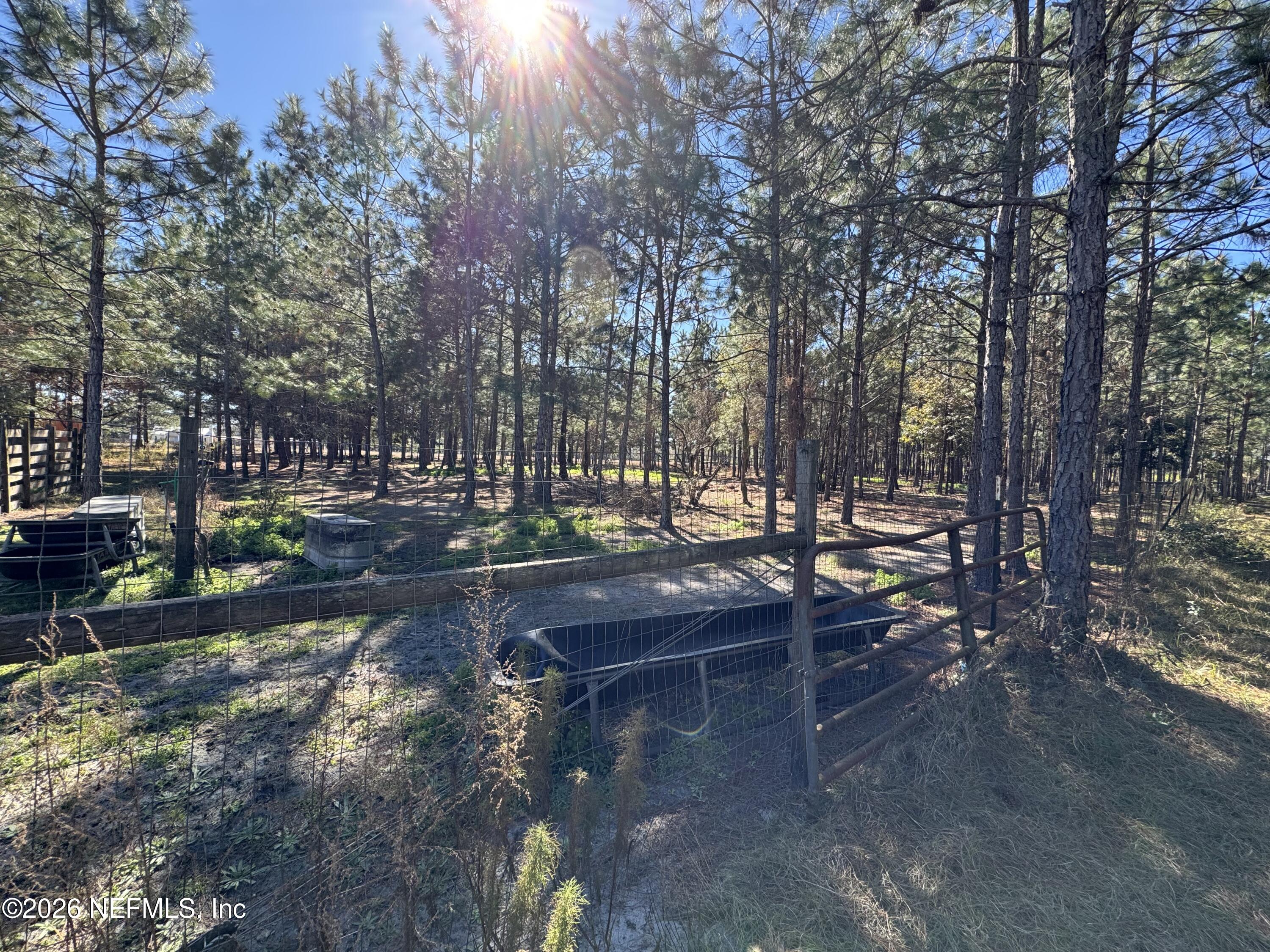 0 Southwest 105th Street Brooker, FL 32622 - Photo 13 of 40 IMG_6030